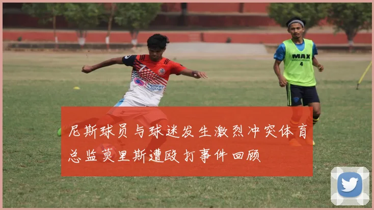 尼斯球员与球迷发生激烈冲突体育总监莫里斯遭殴打事件回顾