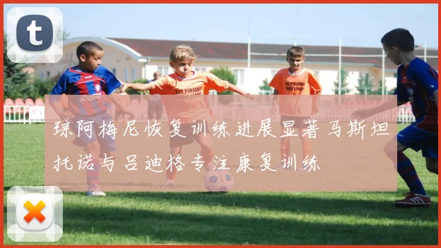 琼阿梅尼恢复训练进展显著马斯坦托诺与吕迪格专注康复训练